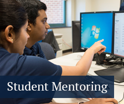 Student mentoring button